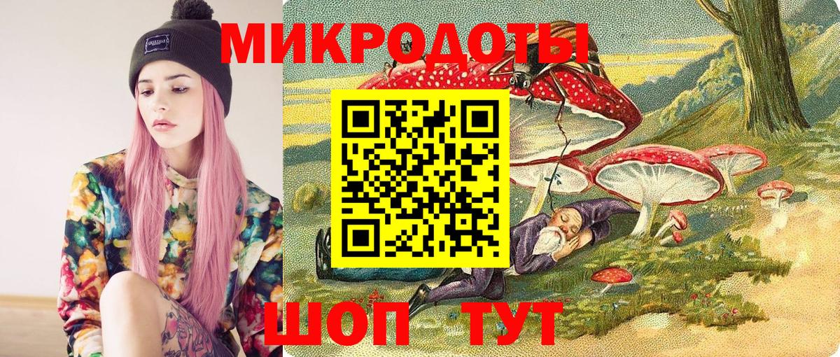 Галлюциногенные грибы Psilocybe Узловая